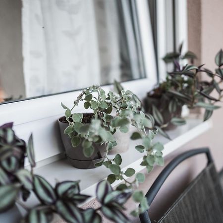 Apartman Centar Добой Экстерьер фото