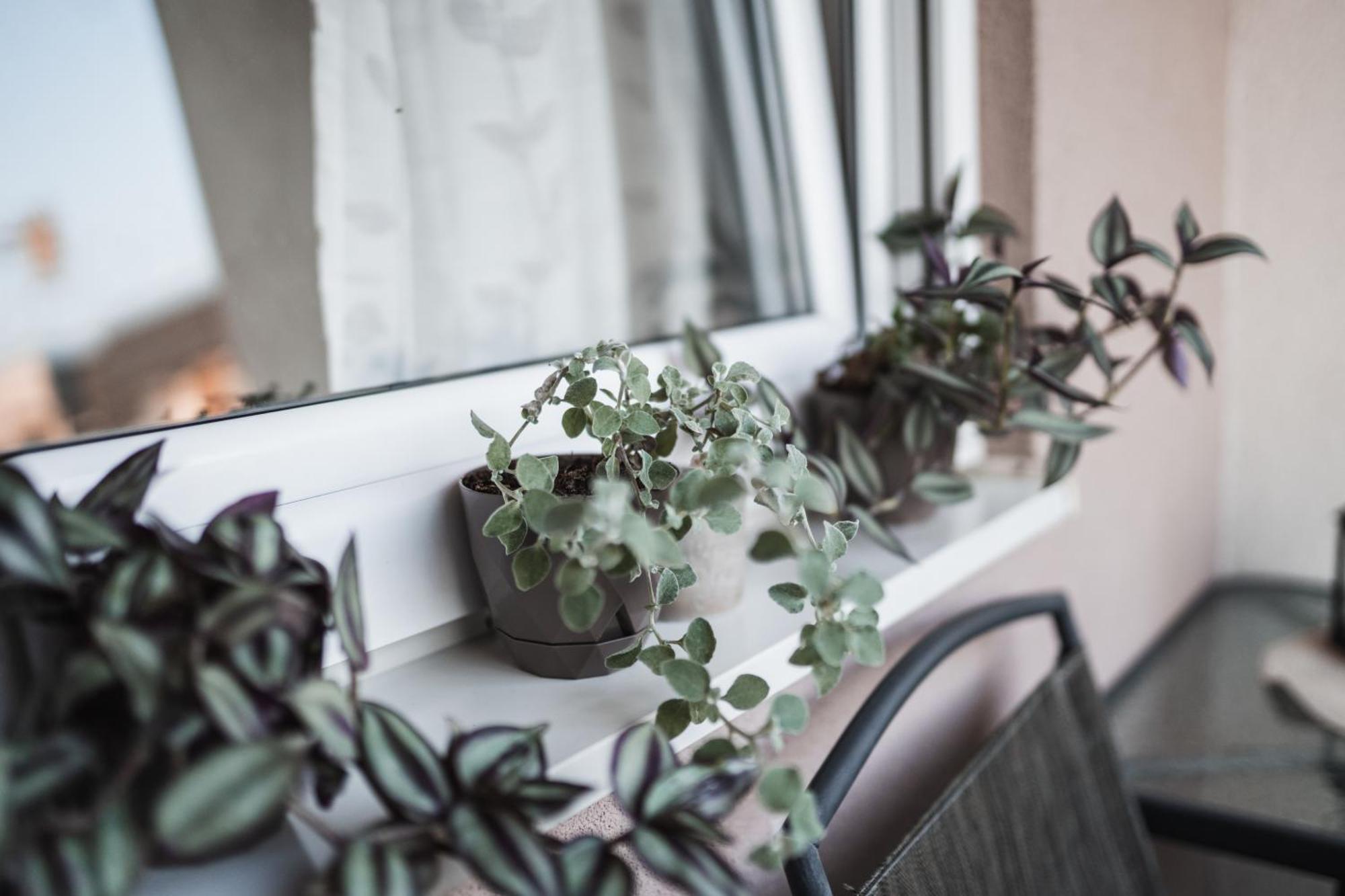 Apartman Centar Добой Экстерьер фото
